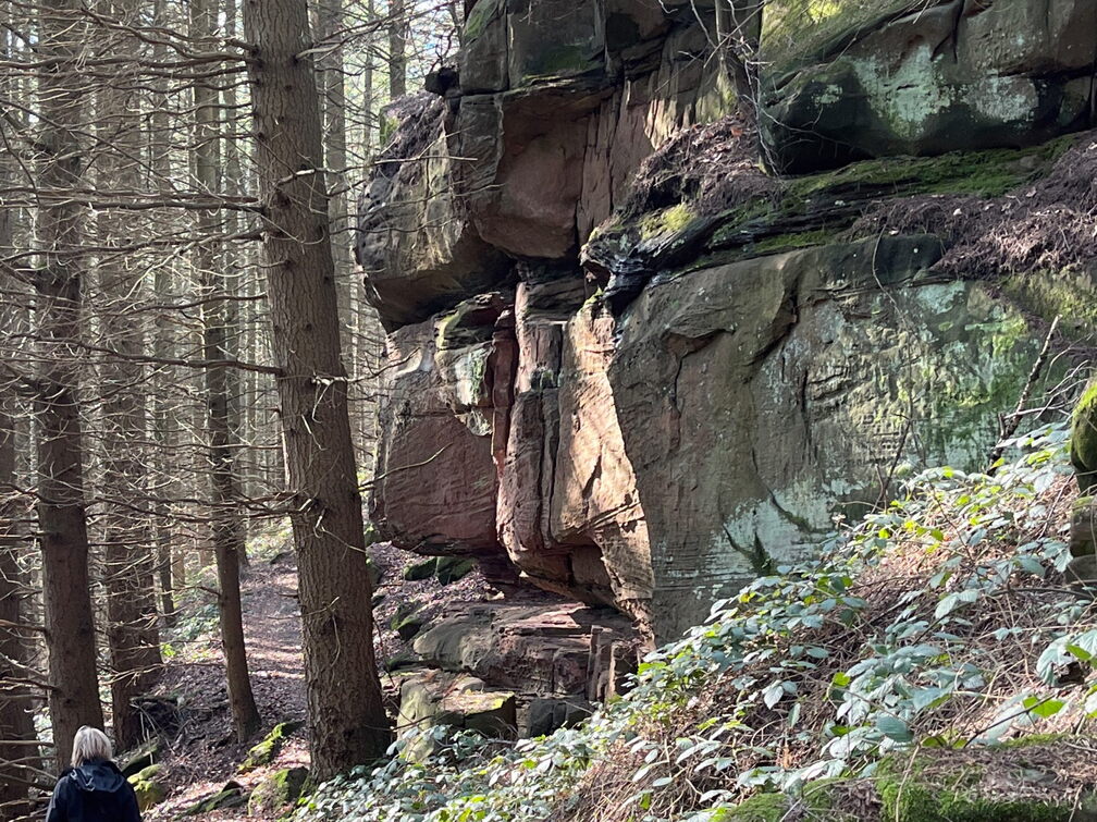 23-03-03 12-33-15 4633